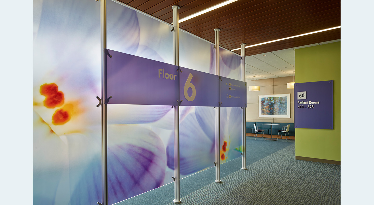Redwood City Hospital Interiors